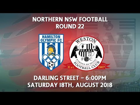 2018 NNSWF NPL Round 22 - Hamilton Olympic FC v Weston Workers Bears FC