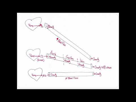Factors Affecting Blood Flow and Vascular Resistance | The Poiseuille Equation
