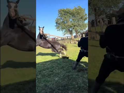Traditional dressage: Amilcar Unanue 🇦🇷