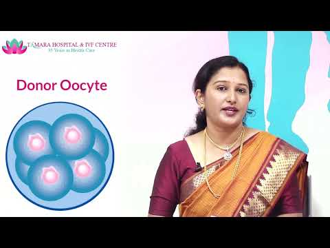 What is Low AMH Causes and IVF Treatment?