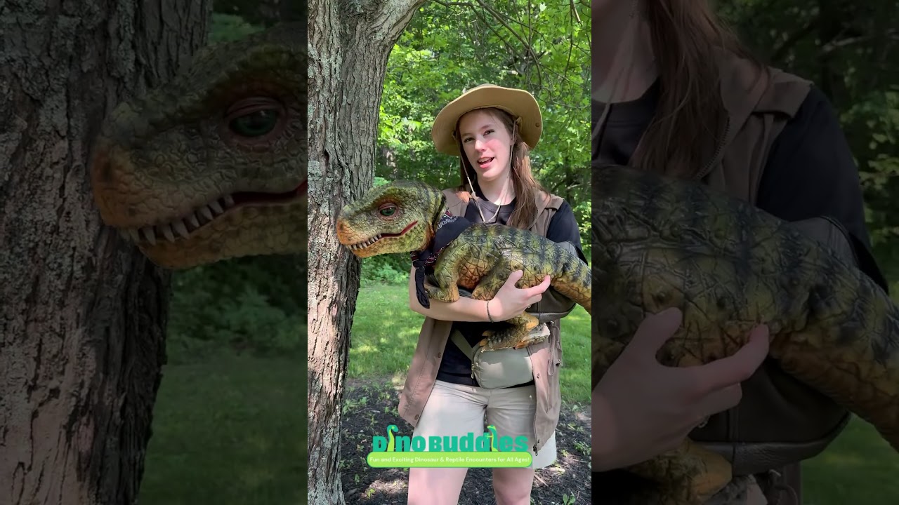 Promotional video thumbnail 1 for Dino Buddies