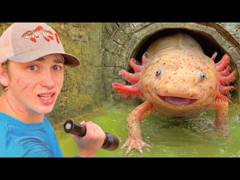 ACHEI AXOLOTE em um TÚNEL ESCONDIDO!