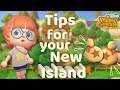 The BEST Tips And Tricks For Starting A Brand New Island In Animal Crossing Acnh
