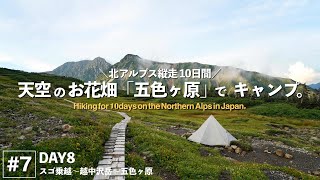【北ア縦走10日間 #7】五色ヶ原で待ち受ける天国と地獄とは…⁉︎ [DAY8]   4K | sonya7c