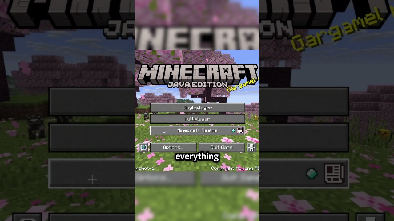 the first snapshot that you can use VULKAN in for minecraft java edition