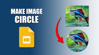 How to make an image a circle in google slides presentation
