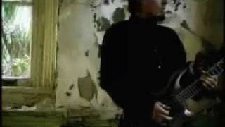 Allele - Closer to Habit