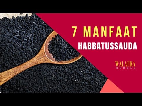 Stimulan alami Krim untuk pembesaran penis yang maksimal