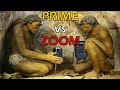 Prime vs Zoom Lens: Things To Consider Before Buying