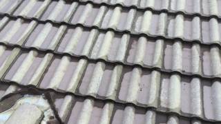 Clean tile roof after pressure cleaning 2016-06-23 11.30.43.mov