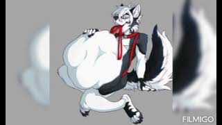 vore slideshow