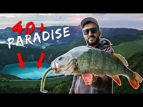 Auf jeden Wurf ein 40+ Barsch?! Hier musst du angeln!