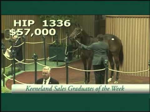 Thoroughbred Week (July 27 2013)