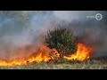 OM eist vier jaar cel tegen brandstichter Tongerense Heide