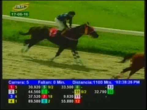 Resumen Viernes, 17 de Junio de 2016 - Valencia