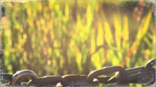 Lovebirds feat. Stee Downes - Want You In My Soul (Original Mix)