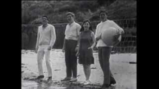 The Seekers - Someday One Day