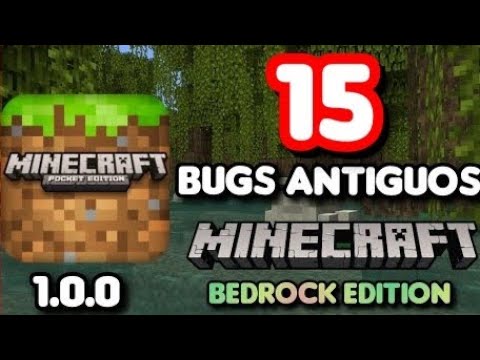 I tested 12 Old MINECRAFT Bugs in 24 Hours!!
