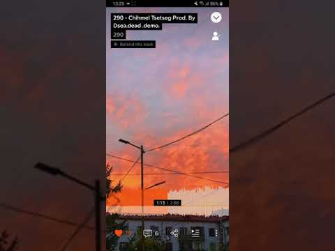 290 - Chihmel Tsetseg