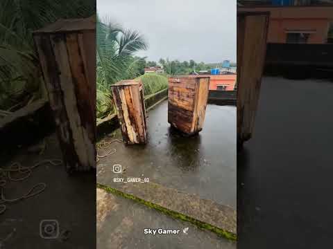 Come Back Parava Loaft🕊️🔥💥 #pigeon #populerpigeon #bird #mrbeast #pigeonlaver #birdspecies