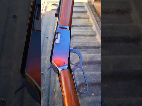 Winchester 22 Magnum Lever-Action Rifle