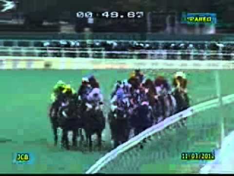 GP Diana (G1) - 2012 - Old Tune