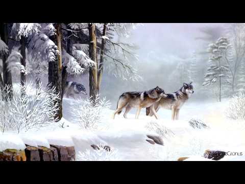 Bausic Productions - Wolf Pack