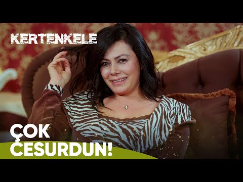 Ferruh, Tülin'in takdirini kazandı! - Kertenkele 14. Bölüm