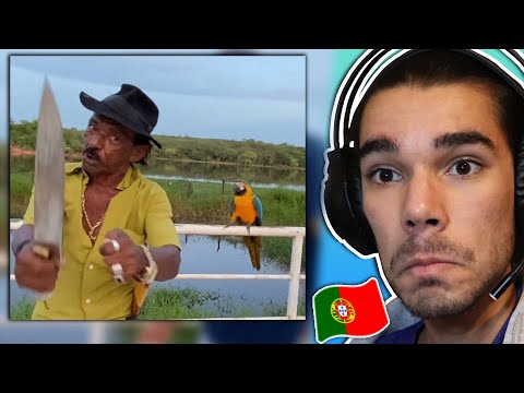 Português reage a TIRINGA! [MUITO ENGRAÇADO 😂]