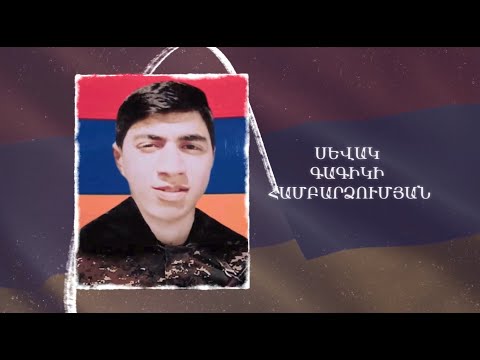 Ձեզ բացակա չենք դնի․ Սևակ  Համբարձումյան