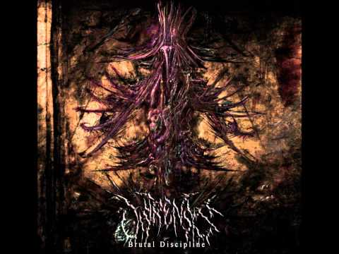 Castrensis - Devoured by Clay