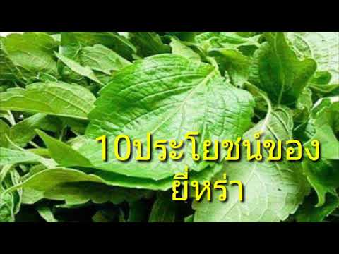 การออกกำลังกายเพื่อปรับปรุงความแข็งแรง หย่อนสมรรถภาพทางเพศเป็นสิ่งที่ดี