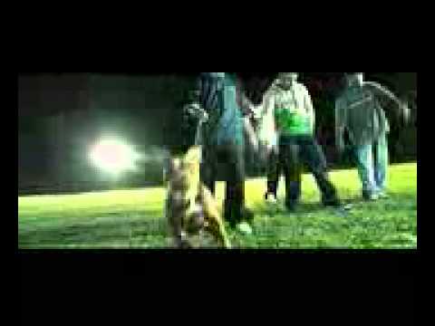 ANDAMOS AL 100  THUG POL   EUGE MC   ANGEL   PASTEL FVCOMPANY Mobile