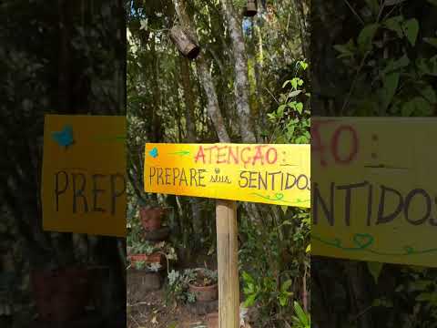 Cachoeira e gastronomia em um só lugar, em Cunha (SP). Esse é o Canto das Cachoeiras
