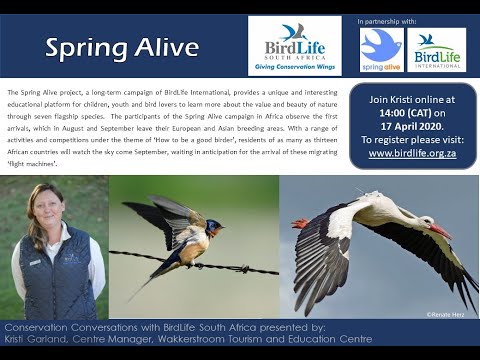 Conservation Conversations: Kristi Garland - 17 April 2020