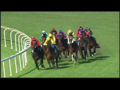 Impregnable Winning Doomben 16 September 2017