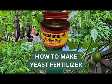 YEAST FERTILIZER.  Yeast as an Organic Fertilizer. #OrganicGardening, #BackyardGarden,  #야채.  🌱🌻🥕🌿