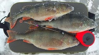 Ловля окуня на хитрую мормышку