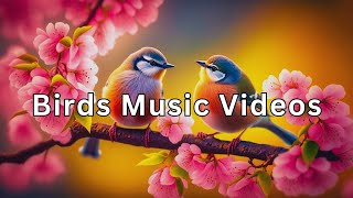 Colorful Birds in - Planet Earth | Beautiful Bird Sounds Nature Relaxation UHD