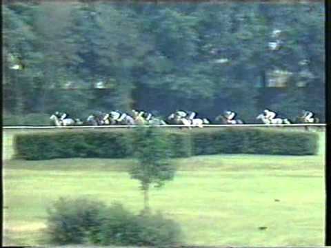 Nagroda Europy 2002   Savvannah