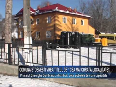 Comuna Stoenesti vrea titlul de cea mai curata localitate