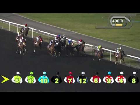 18.12.2013 Meydan (Dubai-UAE) 2.Race Mazrat Al Ruwayah - Group II 1.600 m