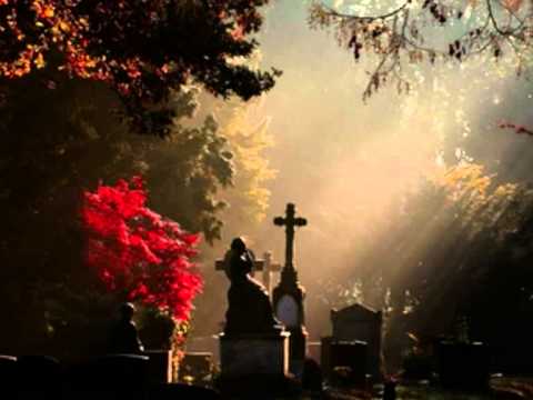 By the river of the roses