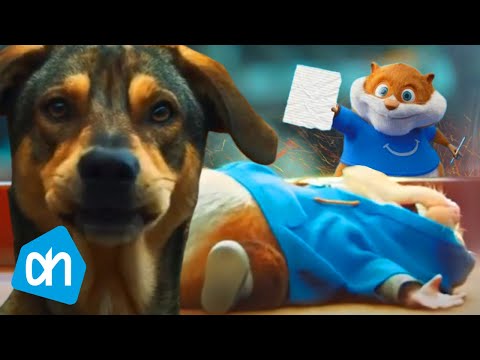 De Hamster Van De Albert Heijn Is dood