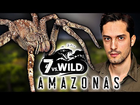 7 VS Wild Amazonas: Gefährliche Tiere und Pflanzen! Biologe klärt auf