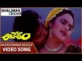 Aavesham Movie Muddoyamma Muddu Video Song Rajasekhar Nagma Shalimarcinema