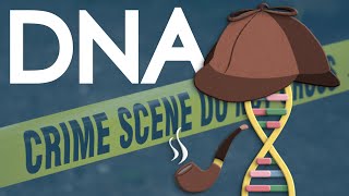 Can DNA help us solve a crime?