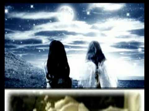 Beli Ruzi - Robert Bilbilov