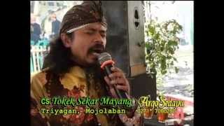 Download lagu Mawar Embun, Bikin Merinding, Voc Tokek Sekar Mayang mp3 Download lagu Mawar Embun, Bikin Merinding, Voc Tokek Sekar Mayang mp3