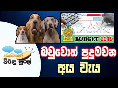 NETH FM Janahithage Virindu Sural 2019.03.08 - බවුවොත් පුදුමවන අය වැය